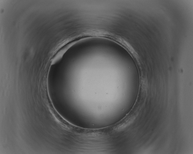 X0000086270433200704051313