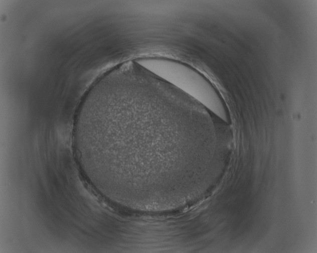 X0000086270434200704051313