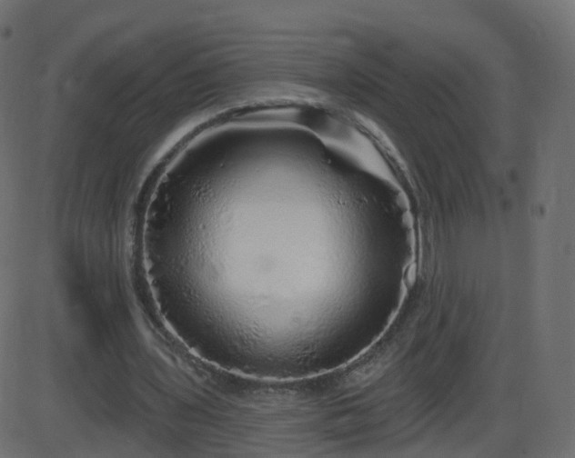 X0000086270435200704051313