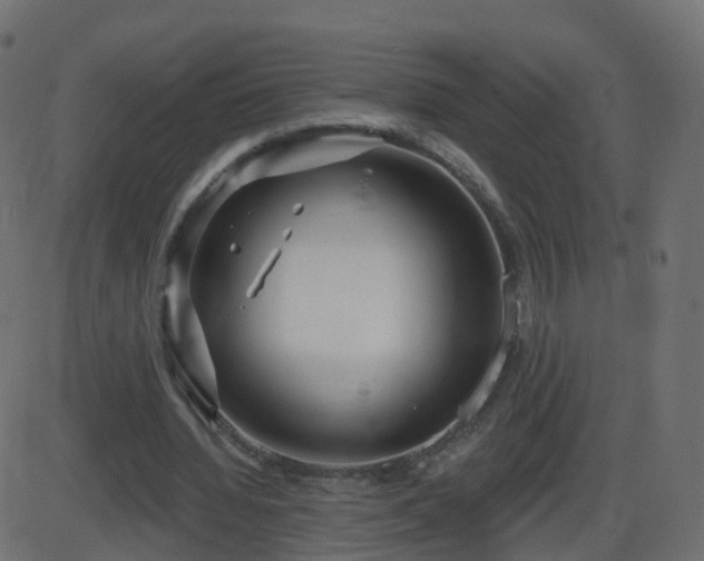 X0000086270436200704051313