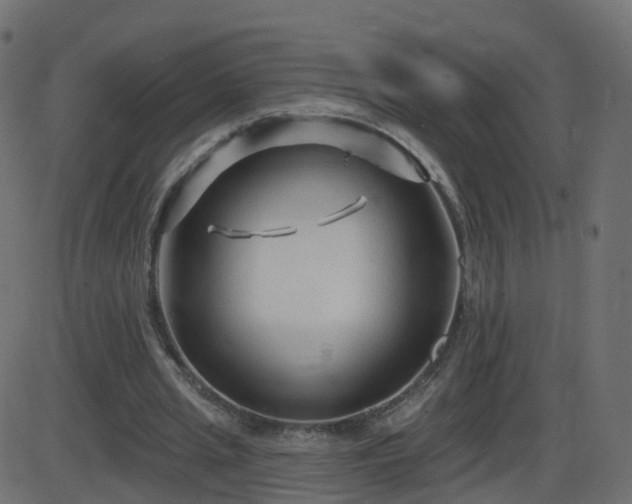 X0000086270437200704051313