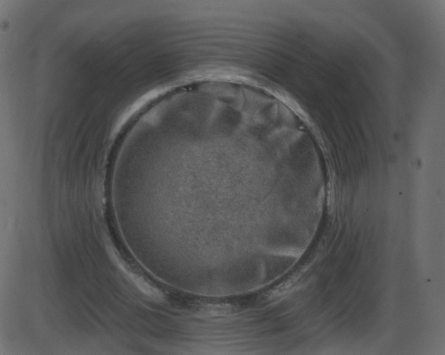 X0000086270438200704051313