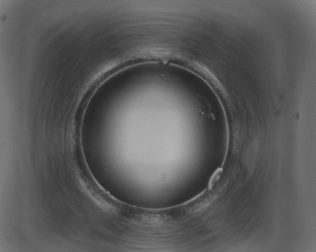 X0000086270439200704051313