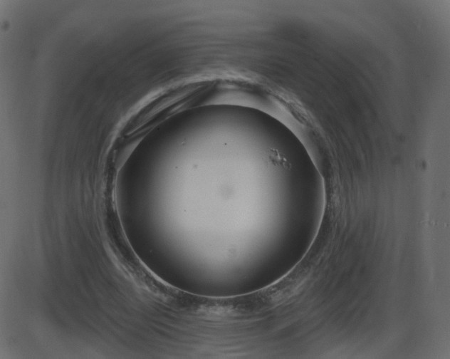 X0000086270440200704051313