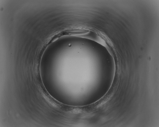 X0000086270441200704051313