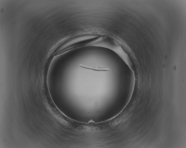 X0000086270442200704051313