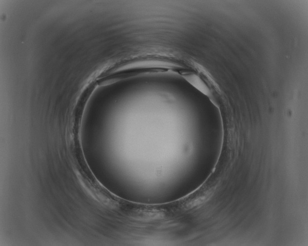 X0000086270443200704051313