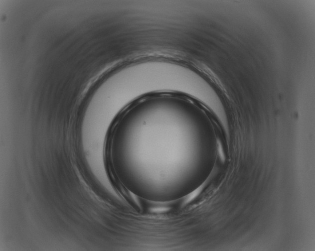 X0000086270444200704051313