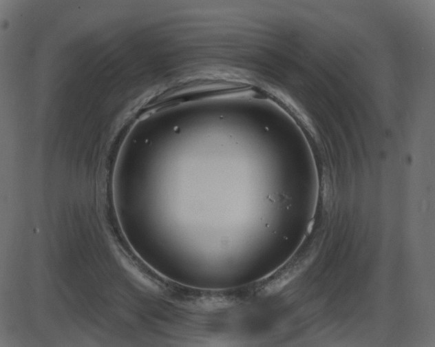 X0000086270445200704051313