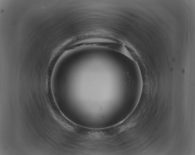 X0000086270446200704051313