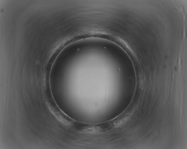 X0000086270447200704051313