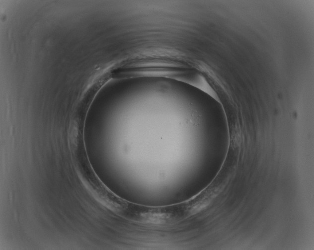 X0000086270448200704051313