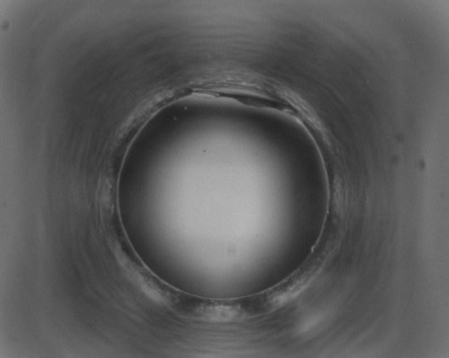 X0000086270449200704051313