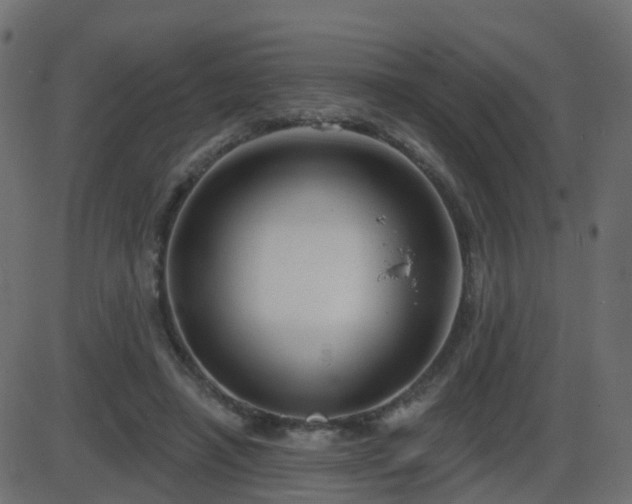 X0000086270450200704051313