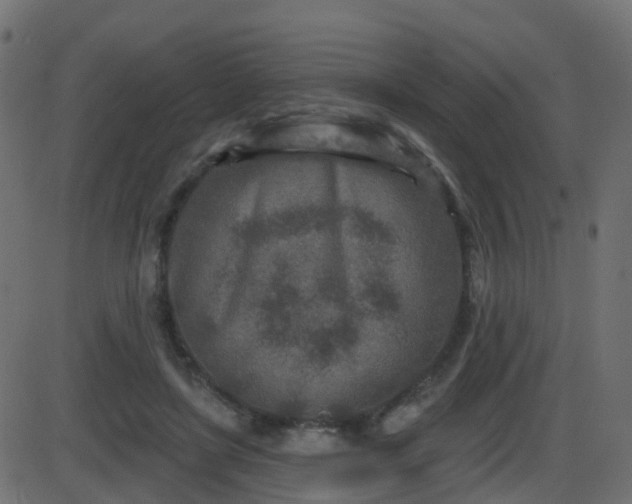 X0000086270451200704051313