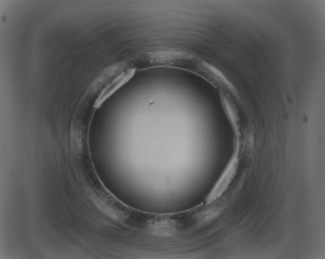 X0000086270452200704051313