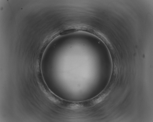 X0000086270453200704051313