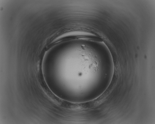 X0000086270454200704051313