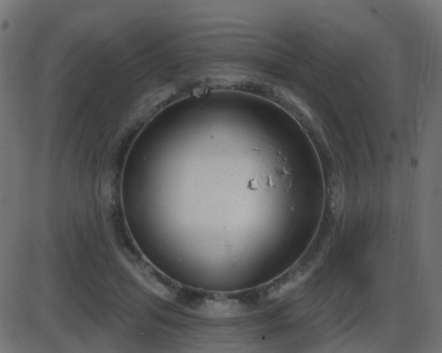 X0000086270455200704051313