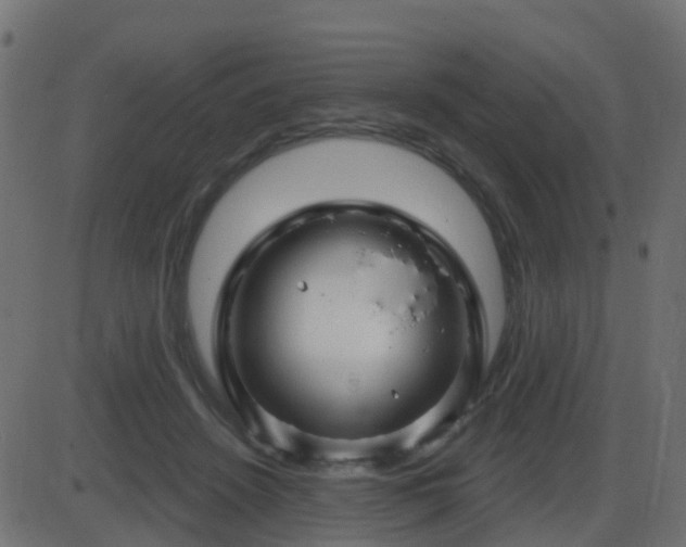 X0000086270456200704051314