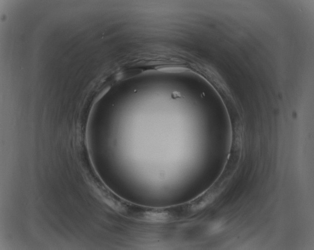 X0000086270457200704051314