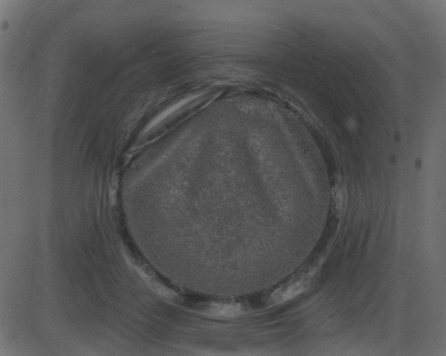 X0000086270458200704051314