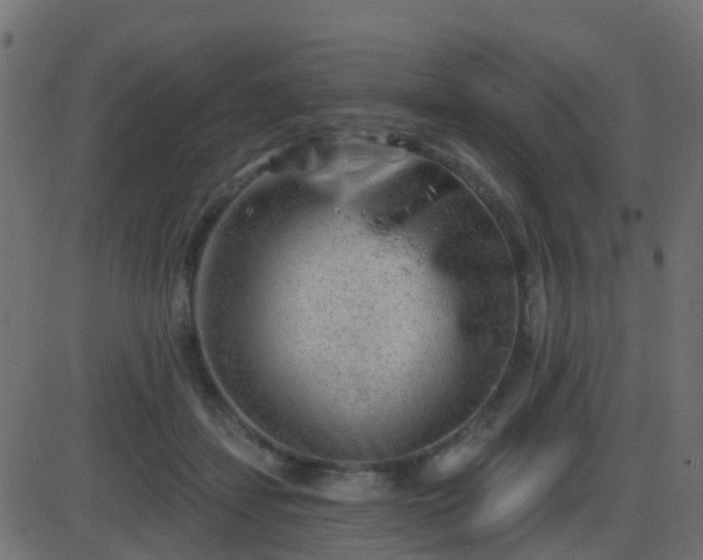 X0000086270459200704051314