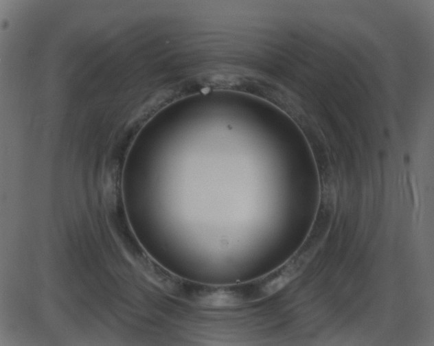 X0000086270460200704051314