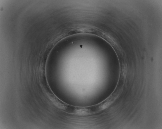 X0000086270461200704051314