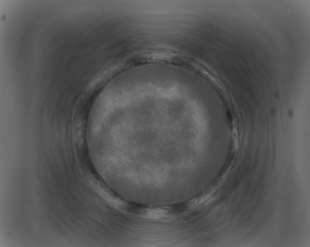 X0000086270462200704051314