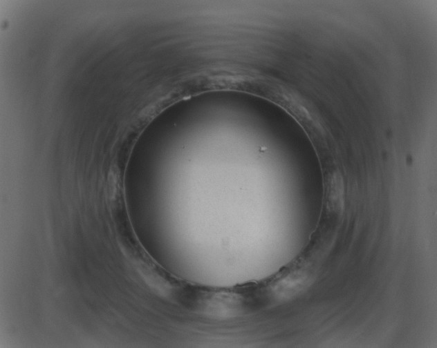 X0000086270463200704051314