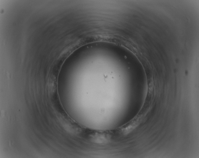 X0000086270464200704051314