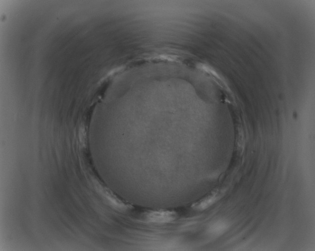 X0000086270465200704051314