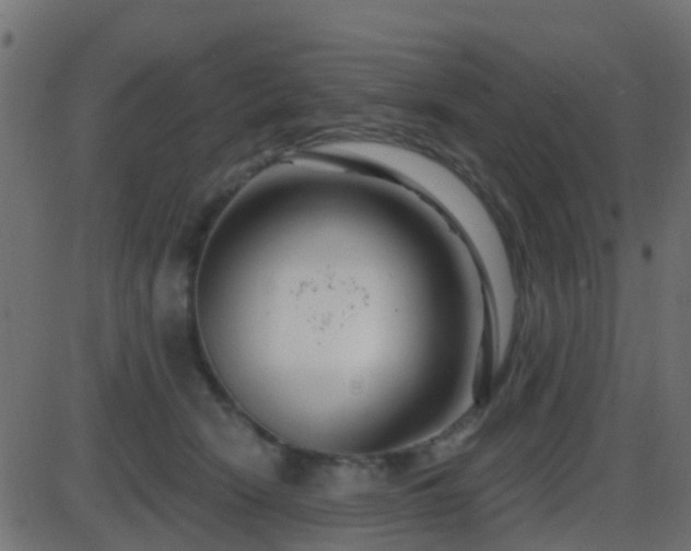 X0000086270466200704051314