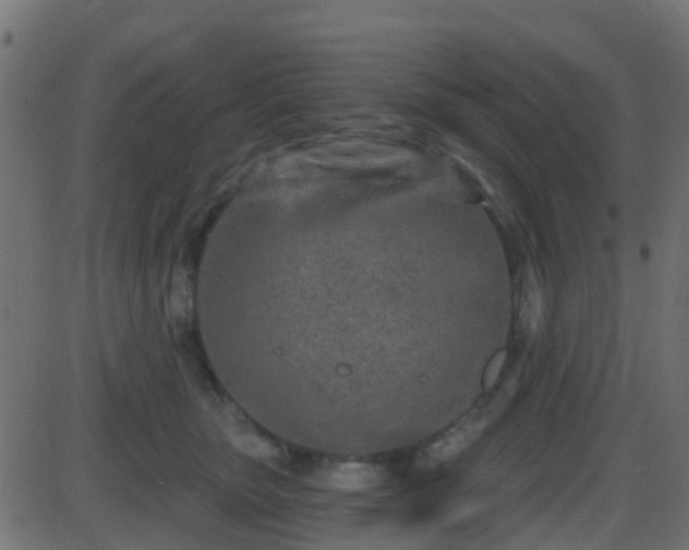 X0000086270467200704051314