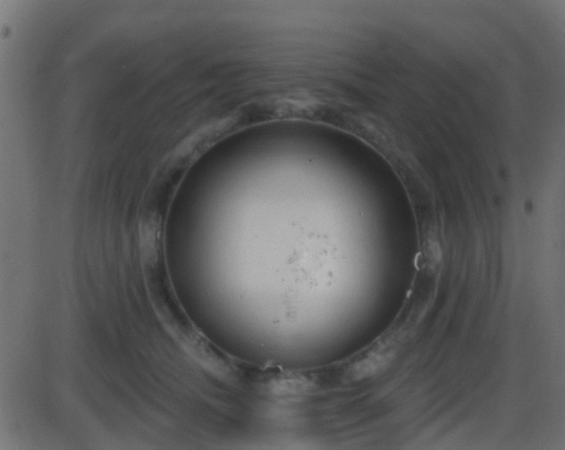 X0000086270468200704051314