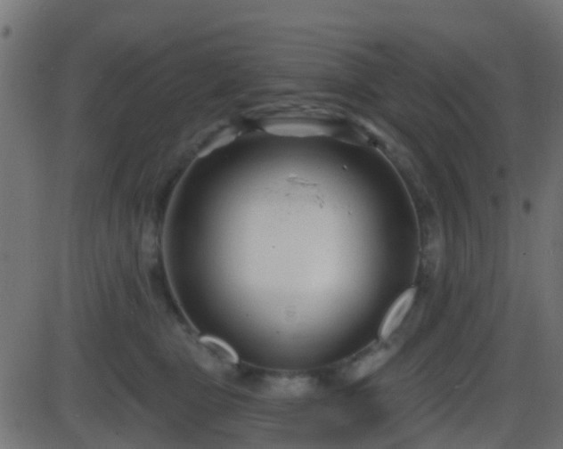 X0000086270469200704051314