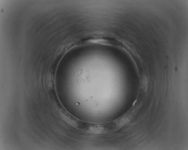 X0000086270470200704051314