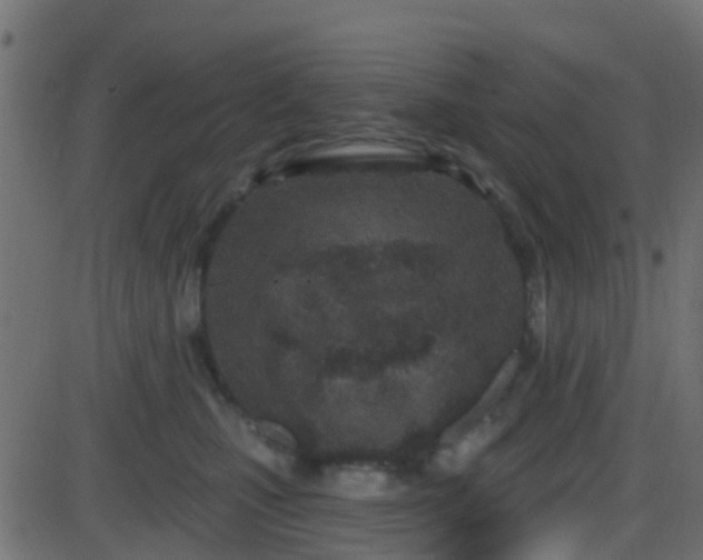 X0000086270471200704051314