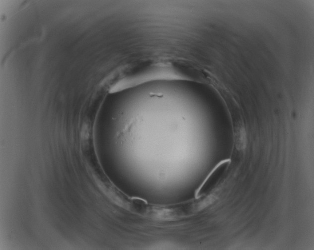 X0000086270472200704051314