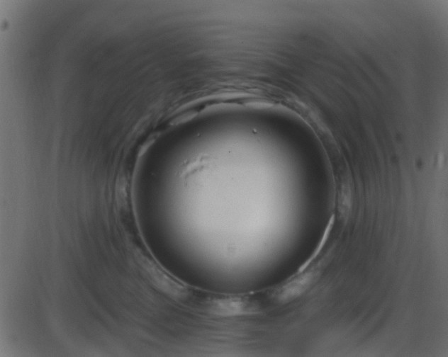 X0000086270473200704051314