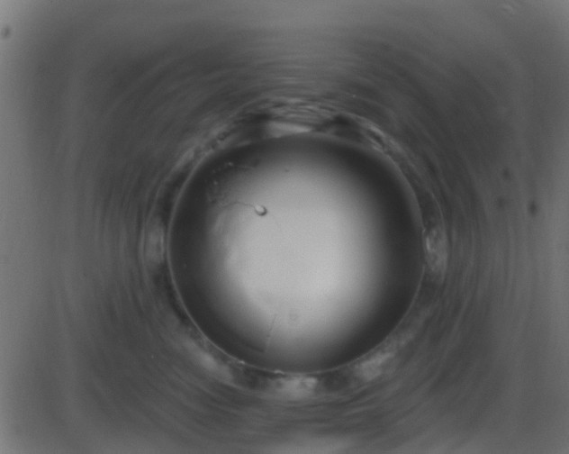 X0000086270474200704051314