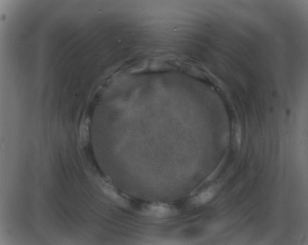 X0000086270475200704051314