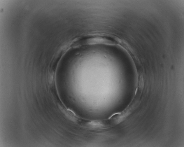 X0000086270477200704051314