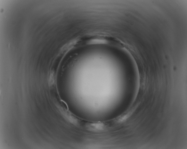 X0000086270478200704051314