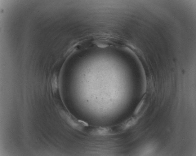 X0000086270479200704051314