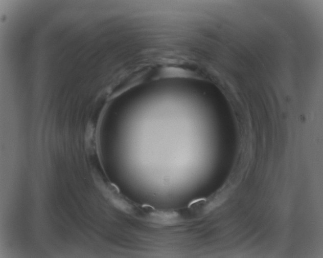 X0000086270480200704051314