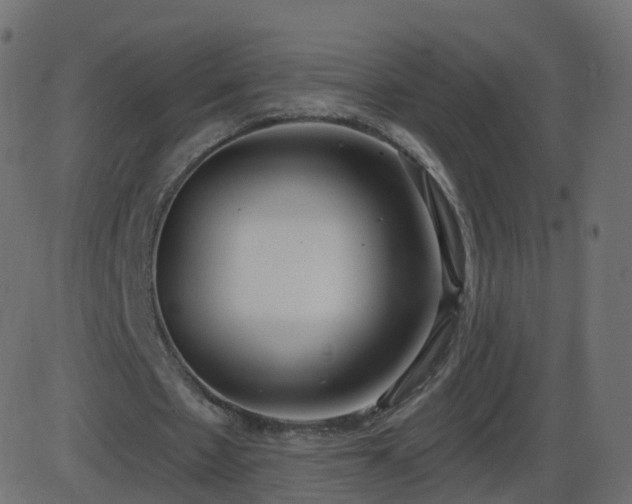 X0000086270481200704051313