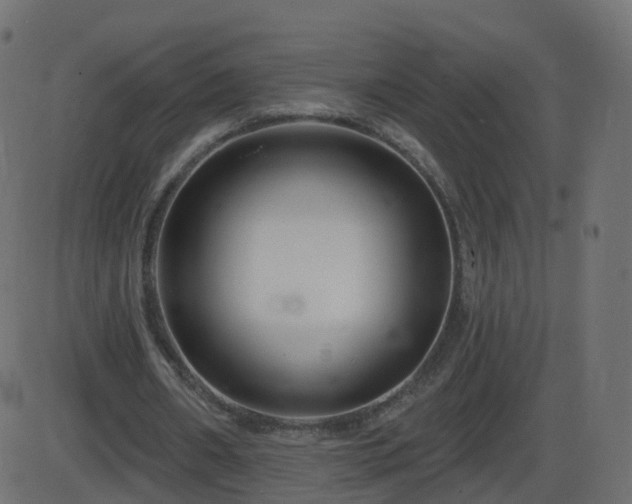 X0000086270482200704051313