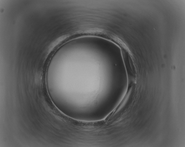 X0000086270483200704051313